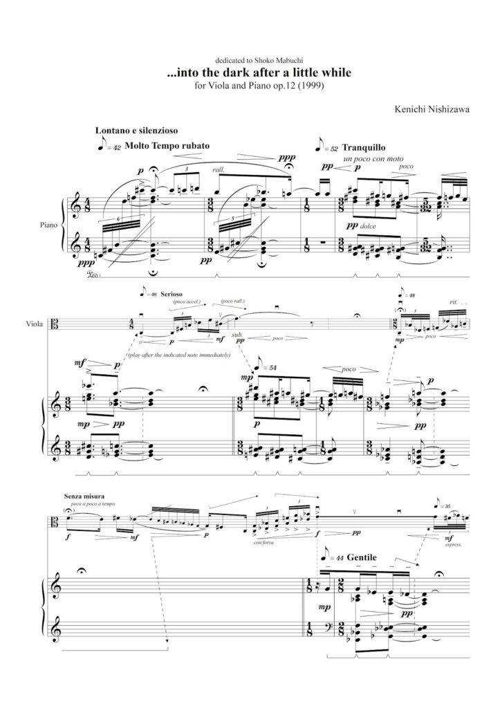 into the dark after a little while for Viola and Piano op.12